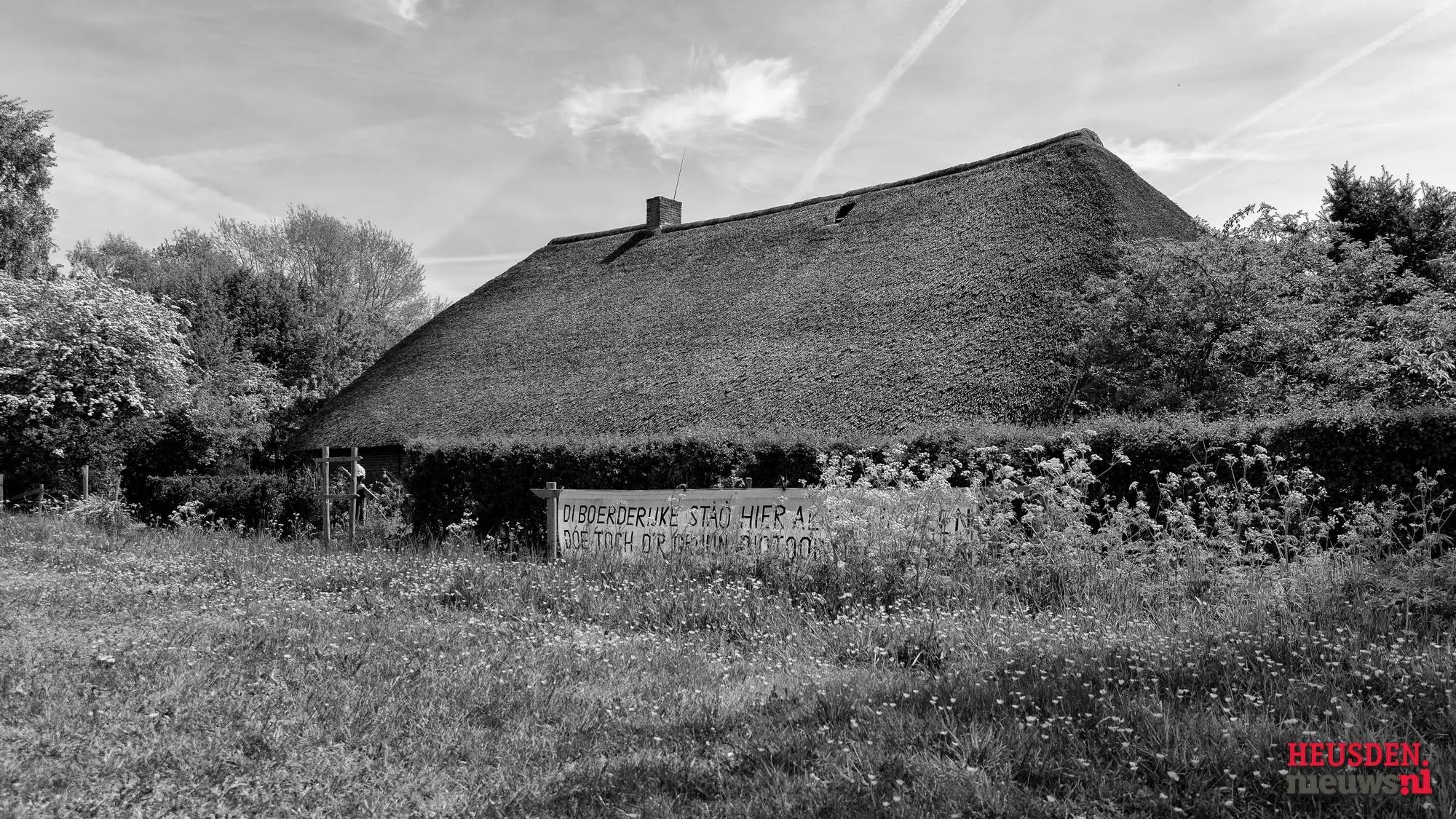 WGZ_3885 C2024 Wil Gulpen Fotografie