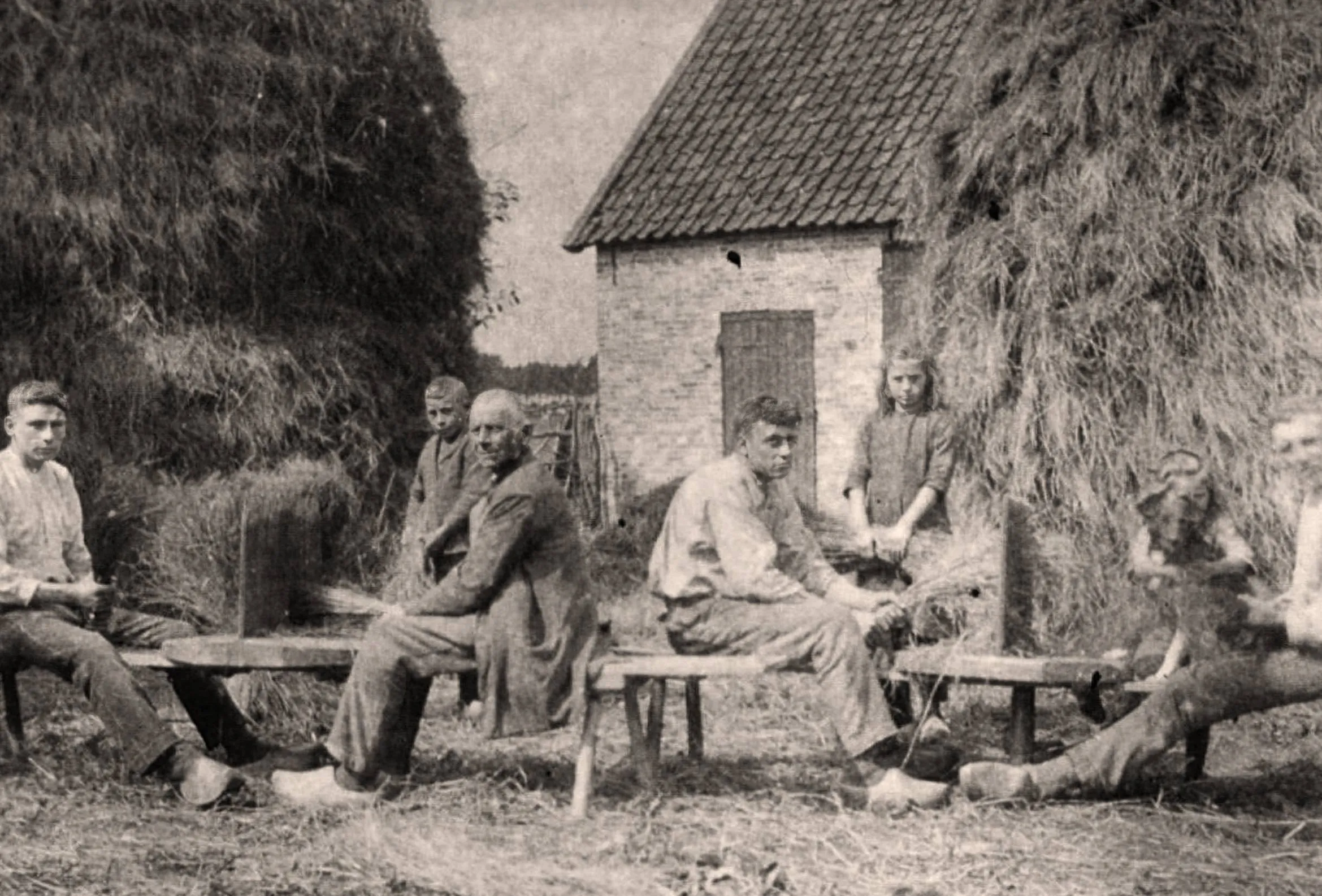 259.2 dom00355 P (1)