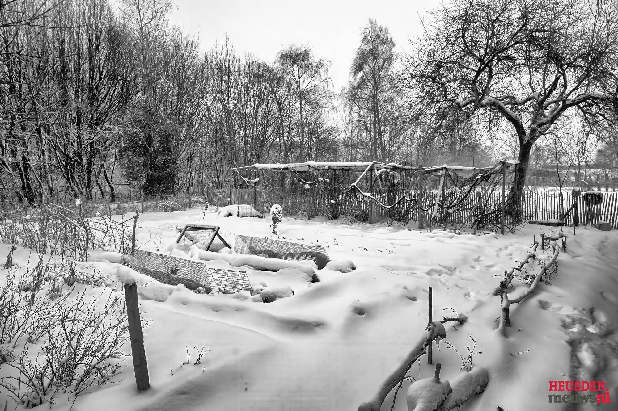 WG6_1170 C2026 Wil Gulpen Fotografie