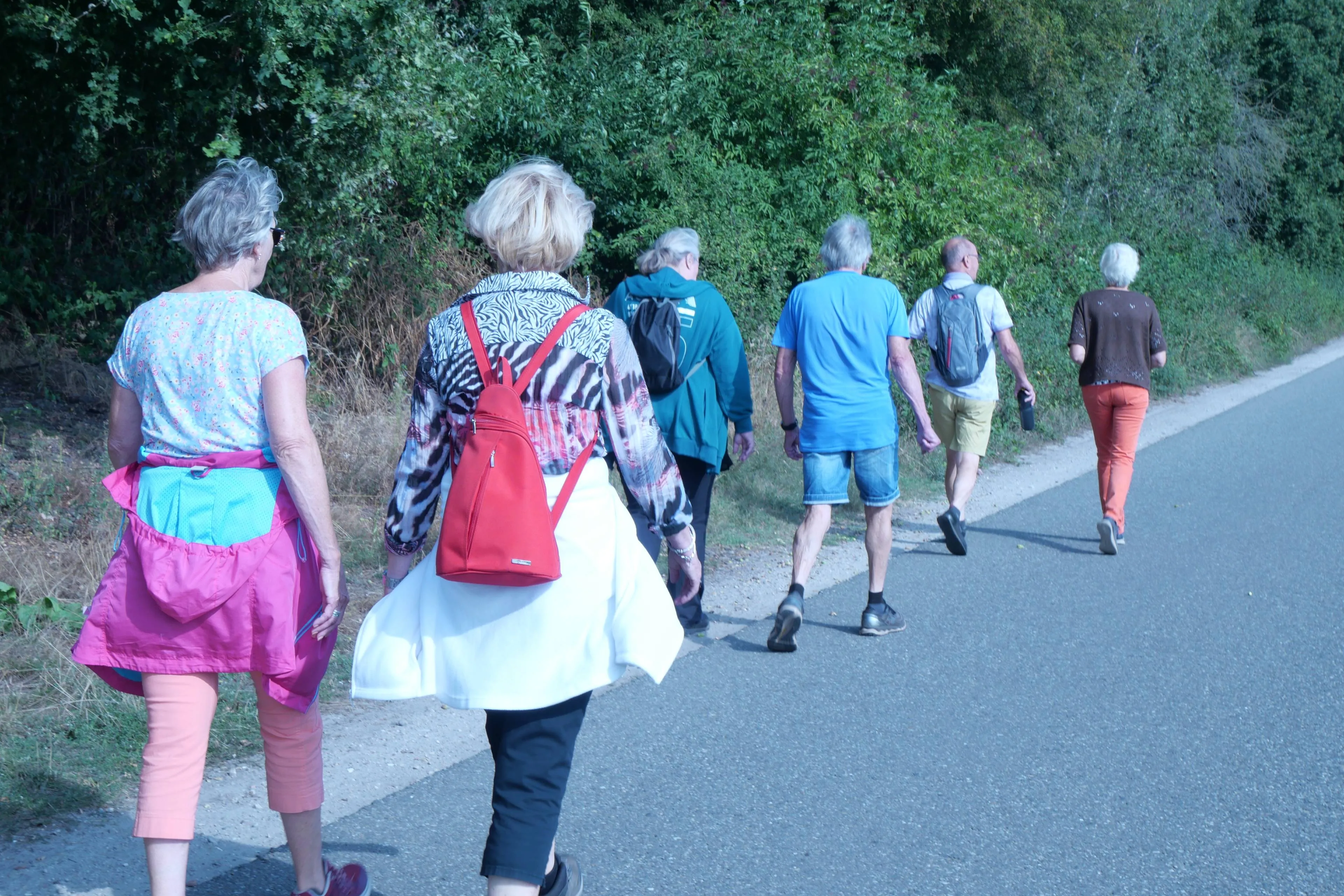 Vlijmense wandelbende