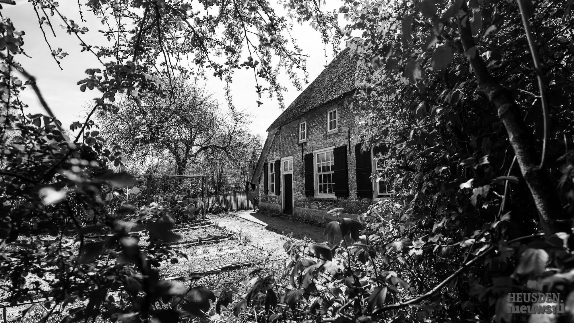 WGZ_3891 C2024 Wil Gulpen Fotografie