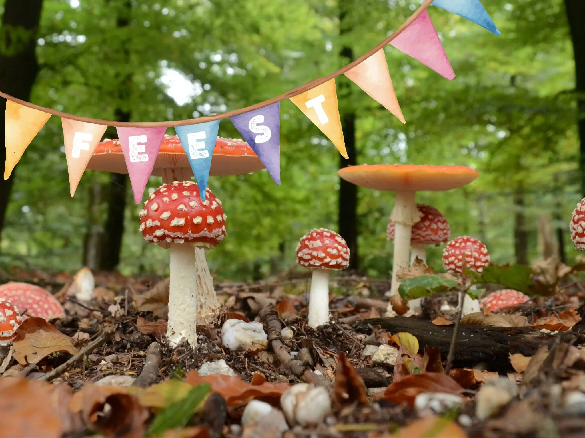 Jubileumfeest Huis ter Heide (1)