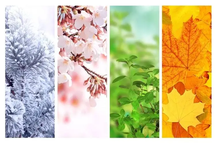 seasons-four