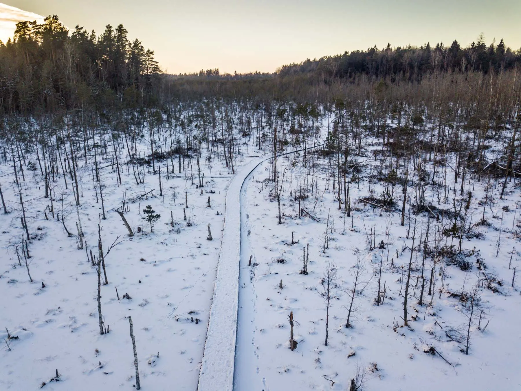 dji 0236