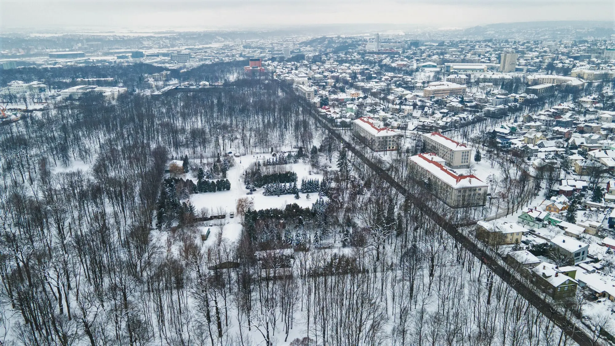 dji 0253 1