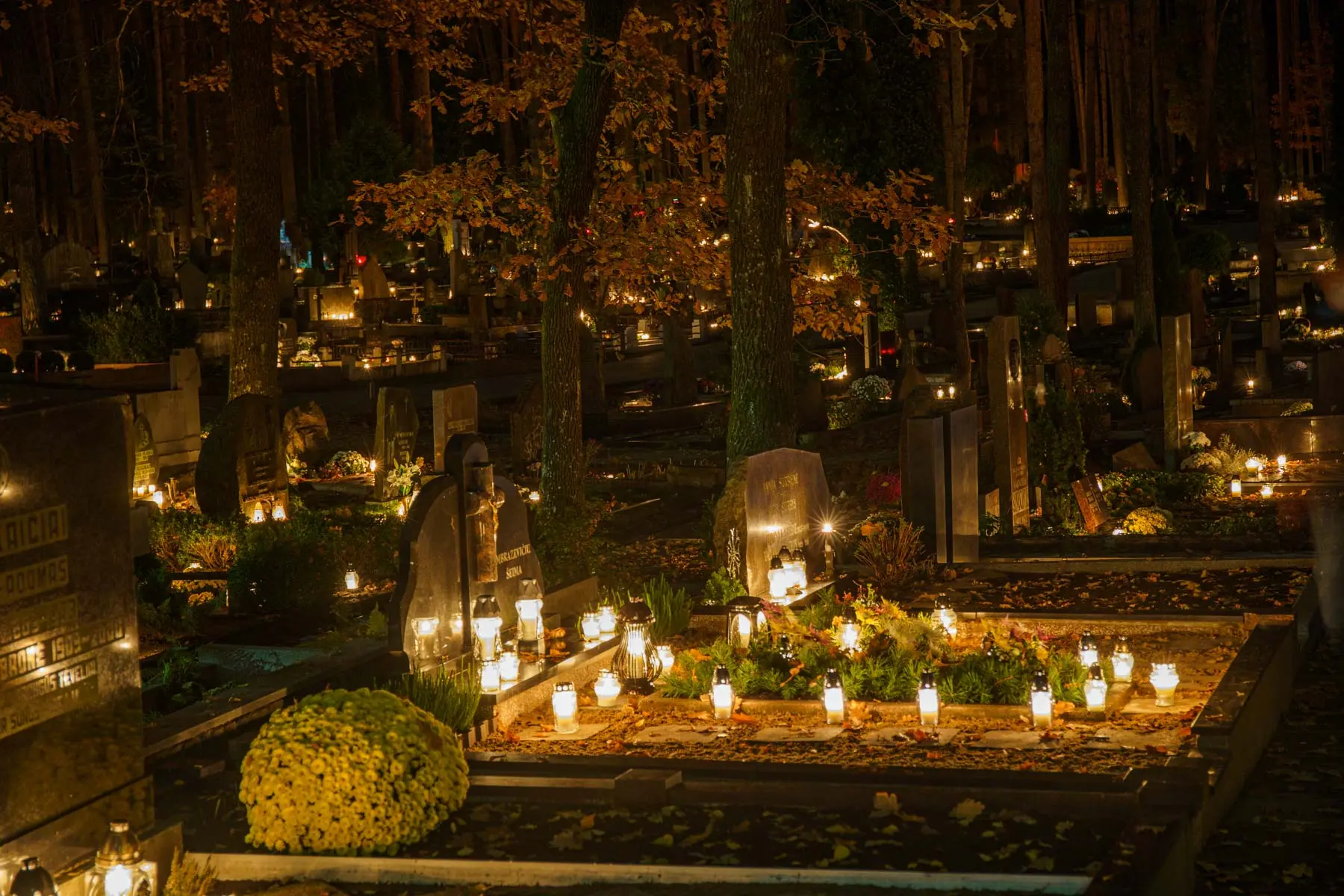 dsc06438