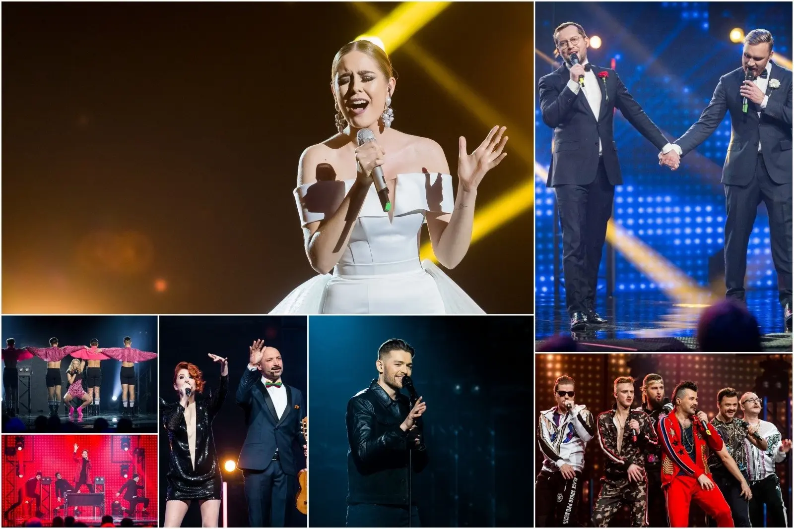 eurovizijos nacionalines atrankos finalistai 80393859