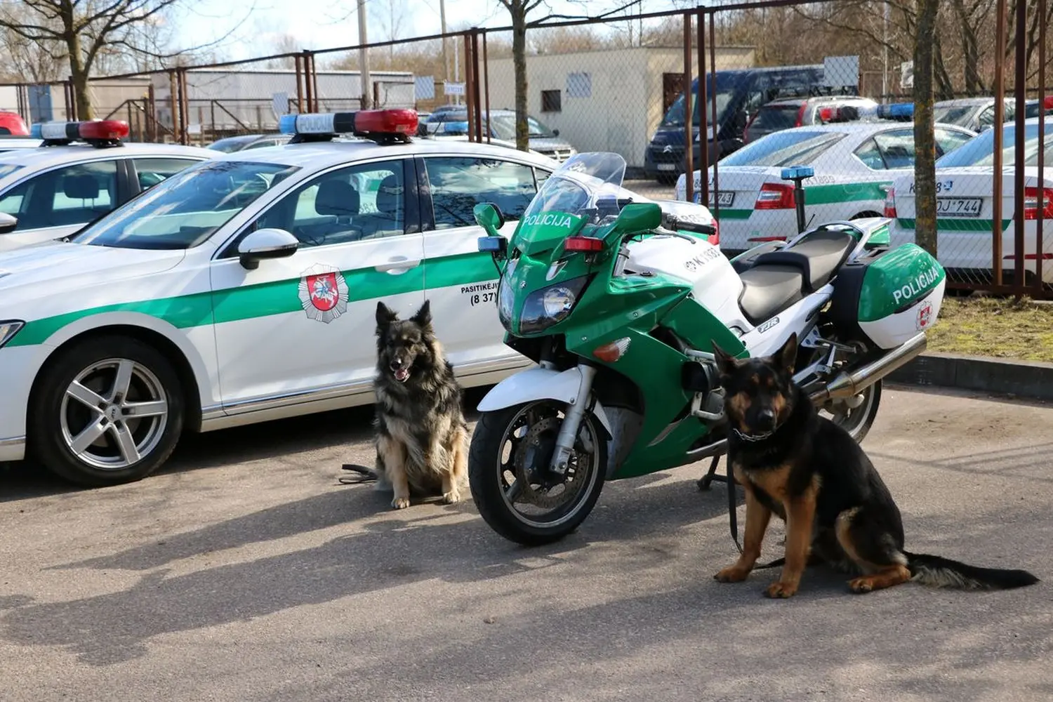 kauno vyriausiasis policijos komisariatas4