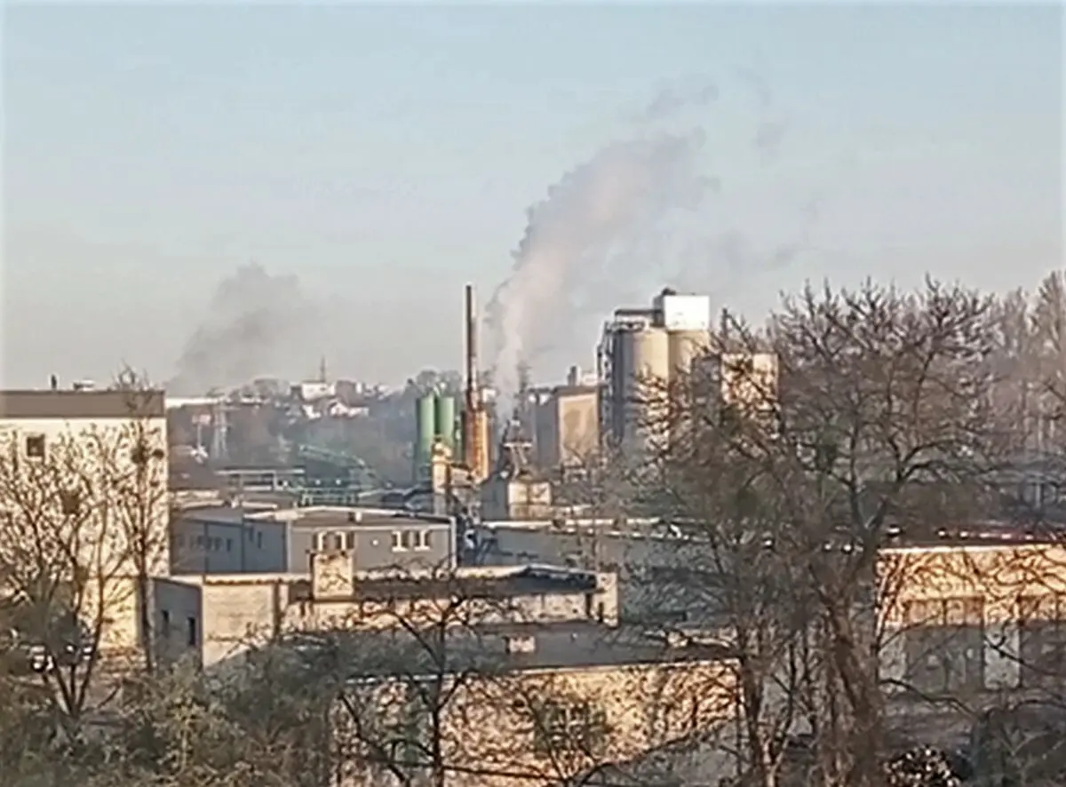 keliai