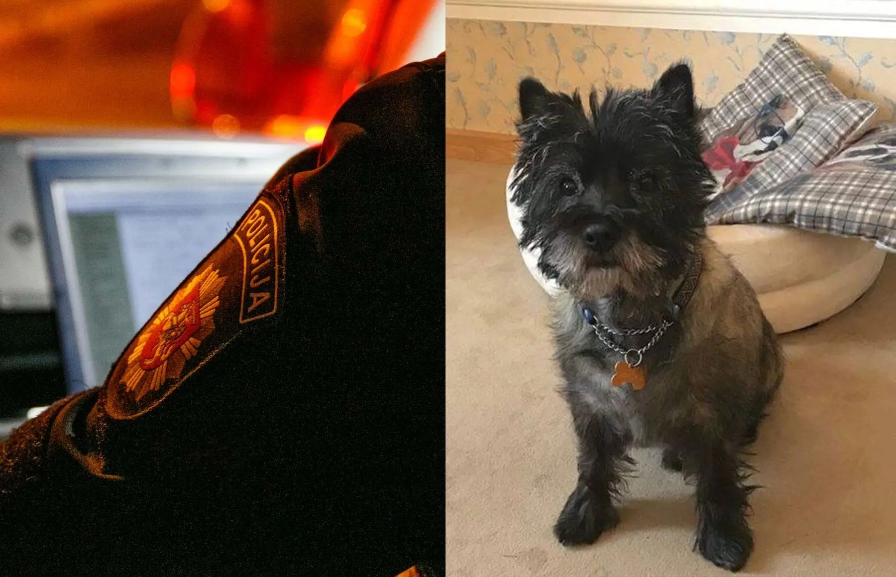 mentai