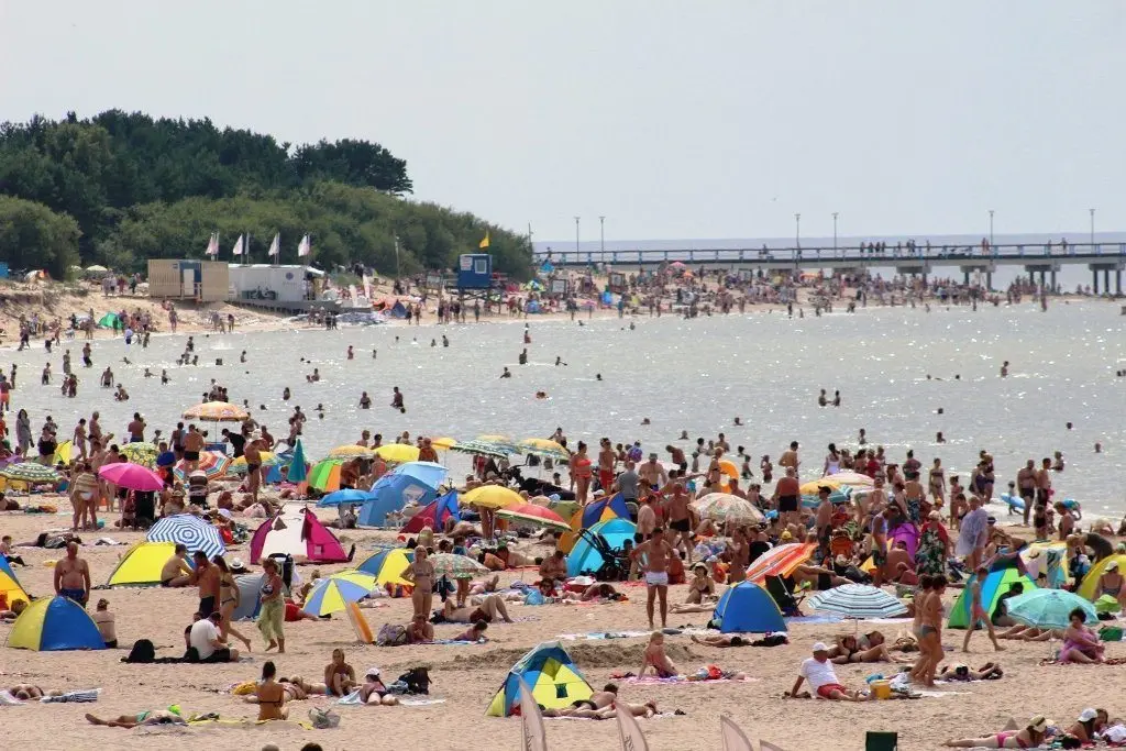 palanga 75471005