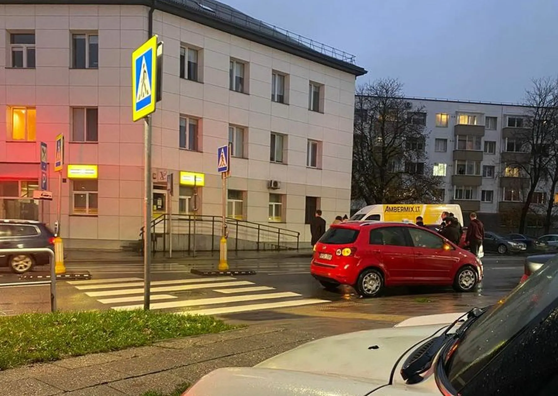petrasiunu ziedas