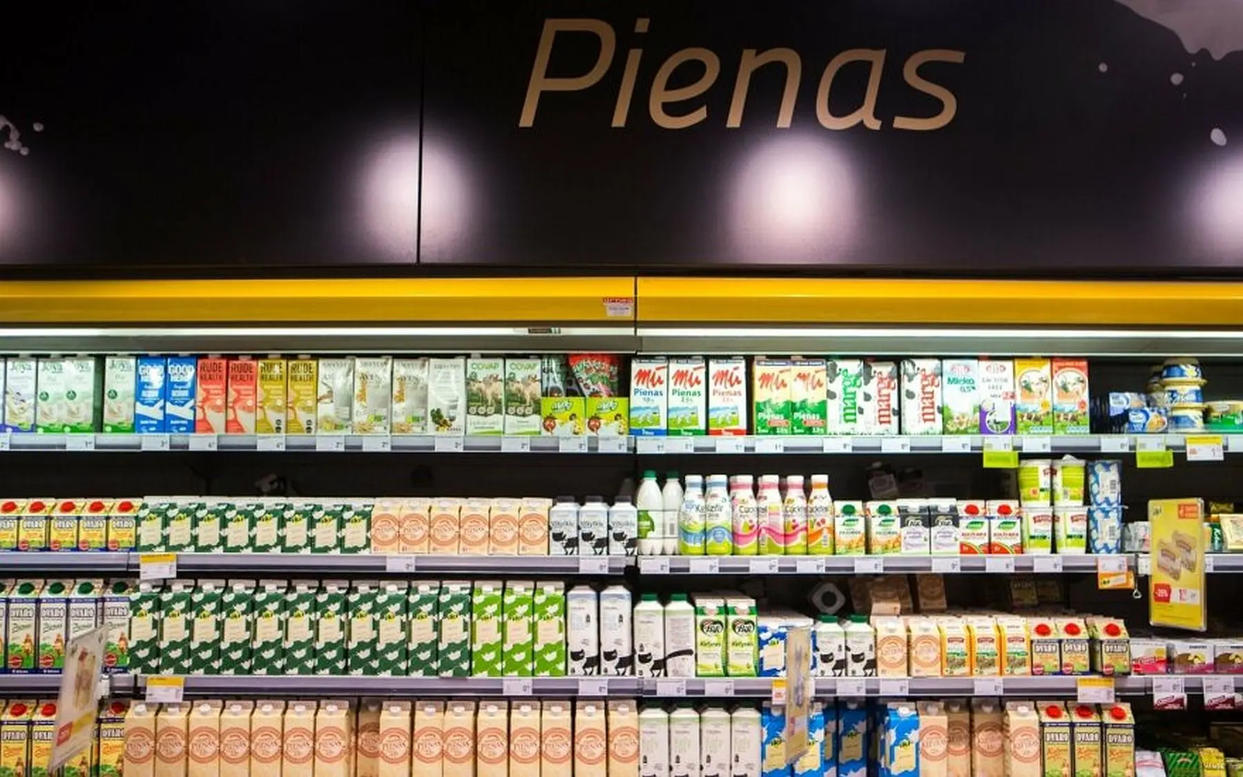 pieno produktai