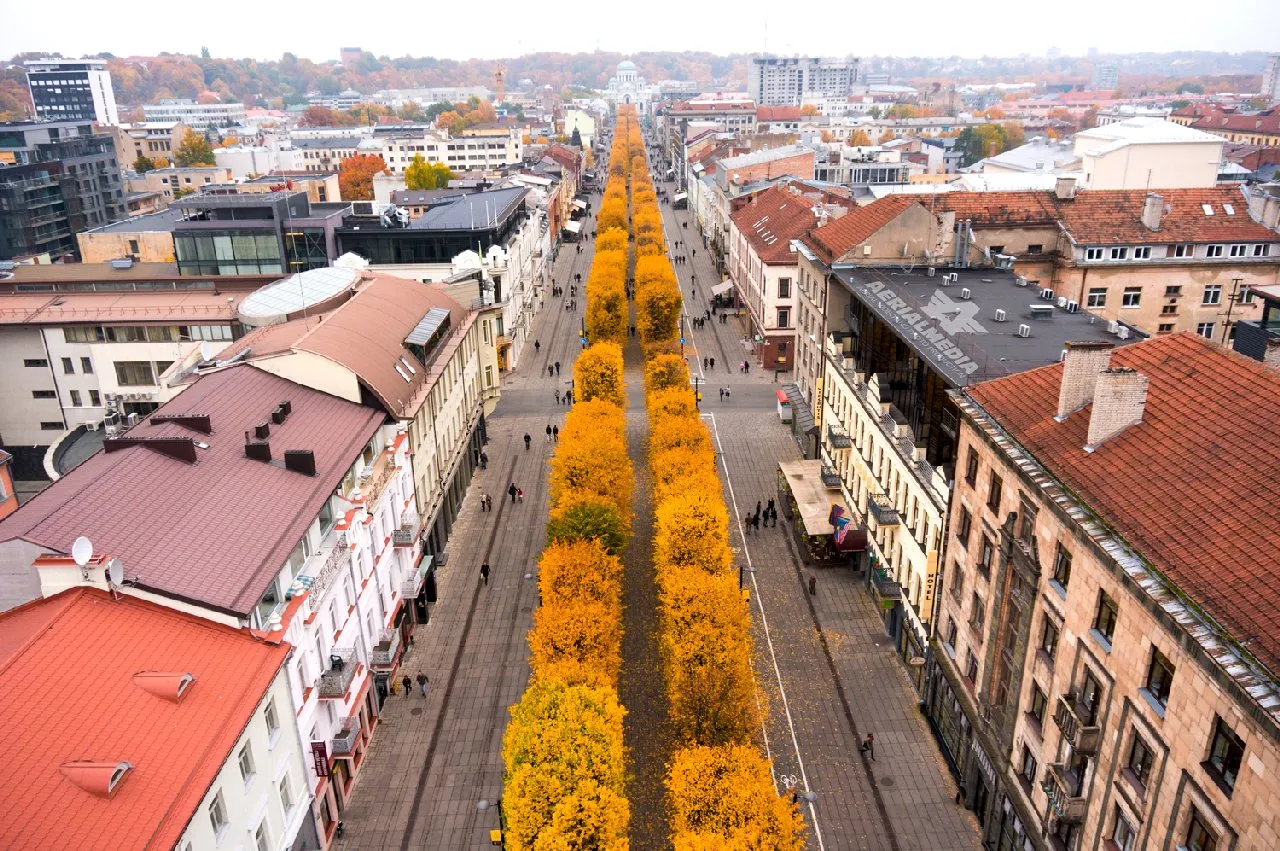 Laisvės alėja iš paukščio skrydžio