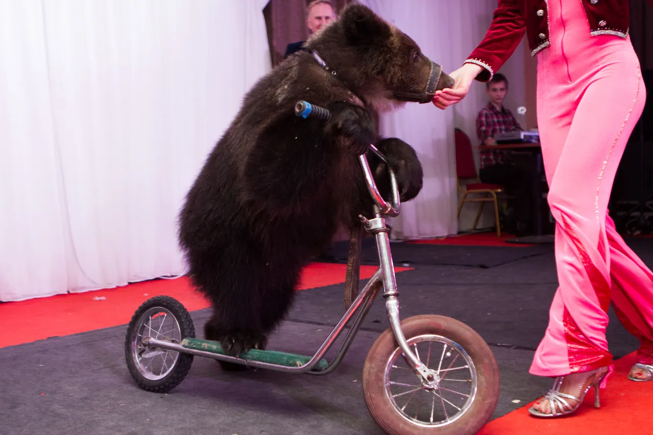 Žvėrelių teatro gimtadienyje