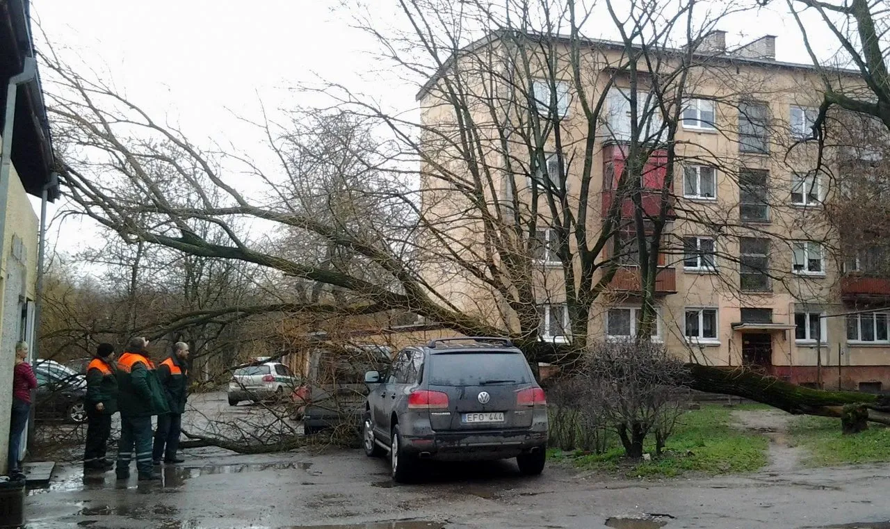 Vėjo padariniai M.Riomerio gatvėje