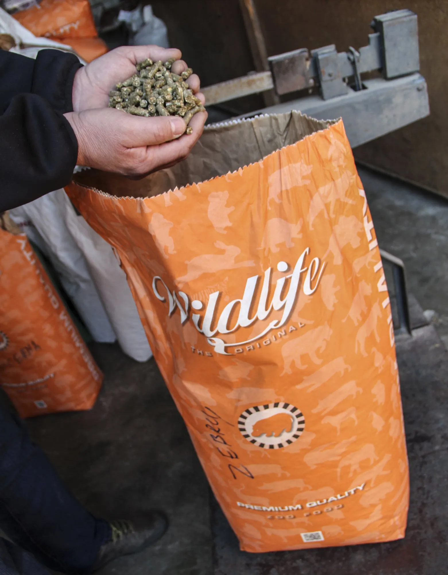 Kauno zoologijos sodo zebras gavo pašarų už 51 tūkst. litų