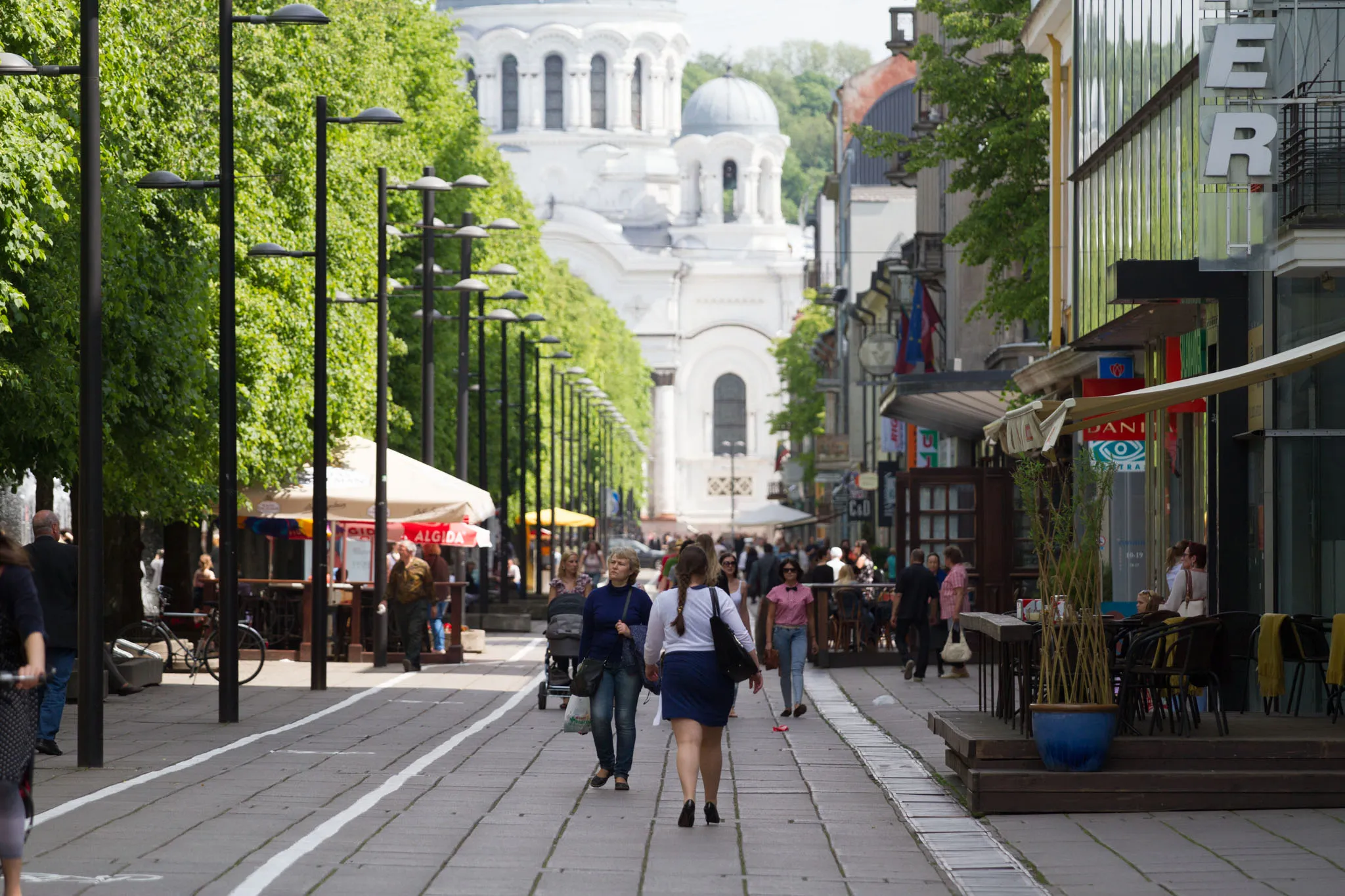 Kauniečius jau alina vasariškas karštis