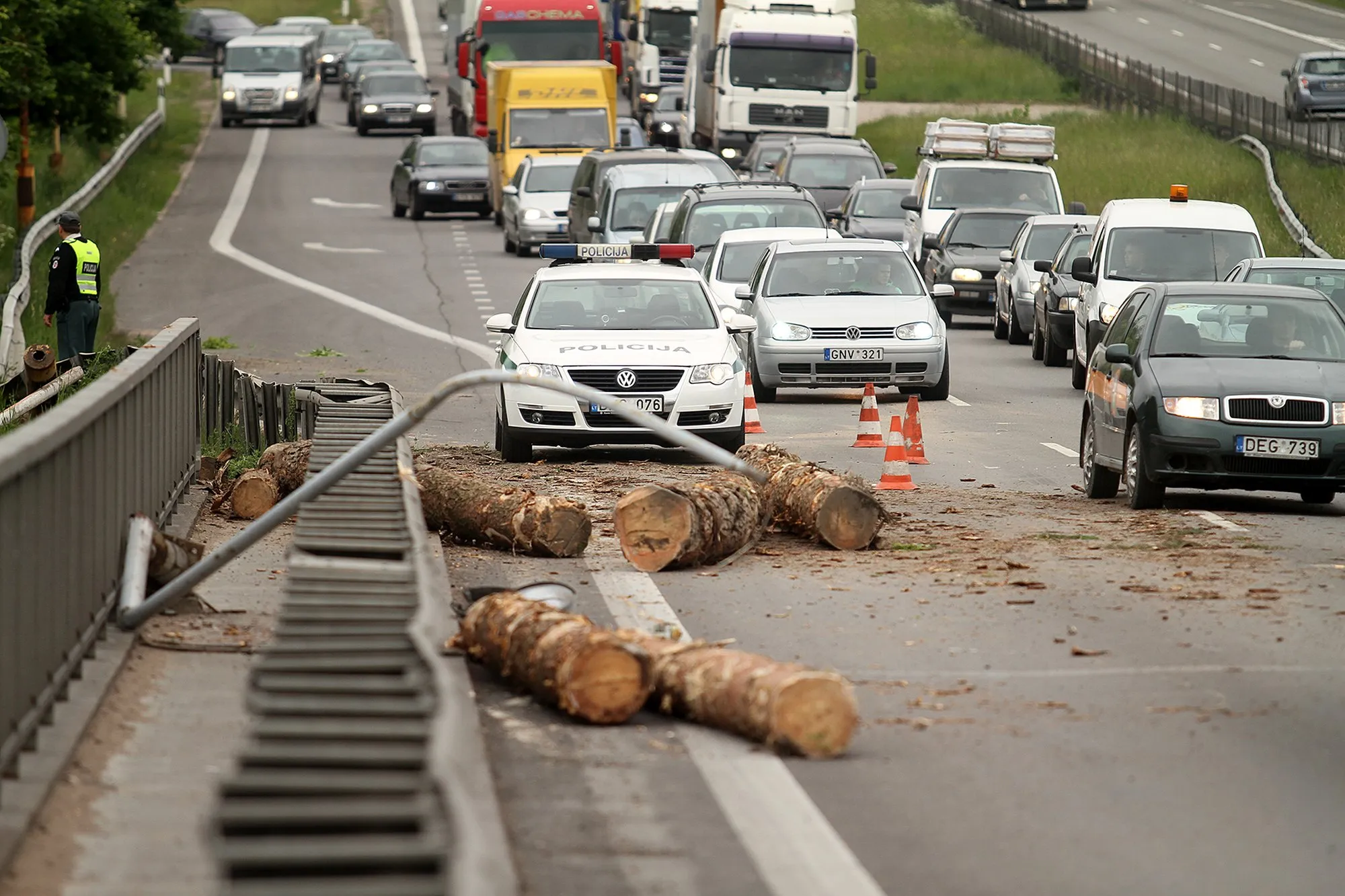 Miškovežis aplinkelyje 2