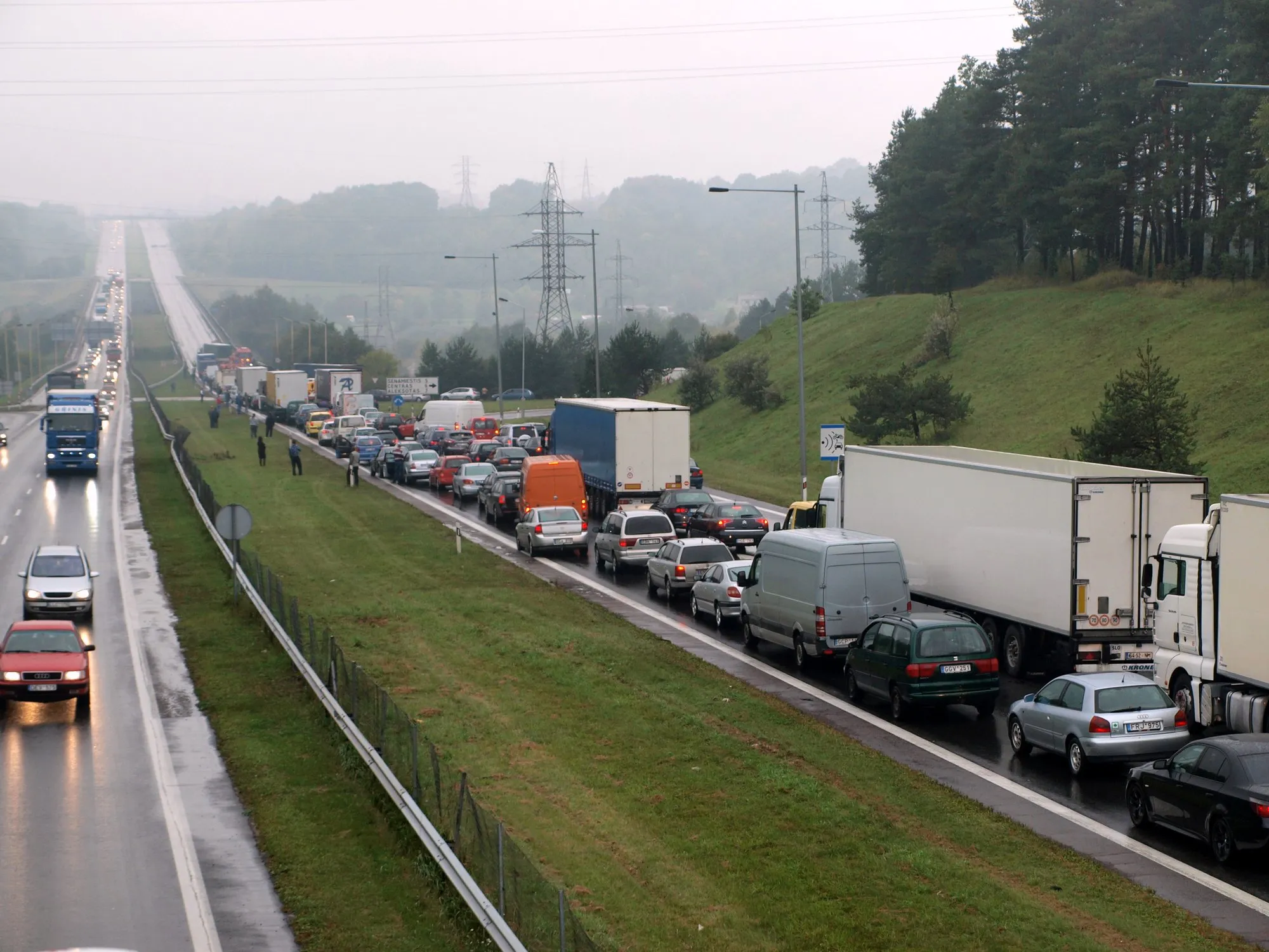 Vilkikas paralyžavo eismą Kauno aplinkelyje
