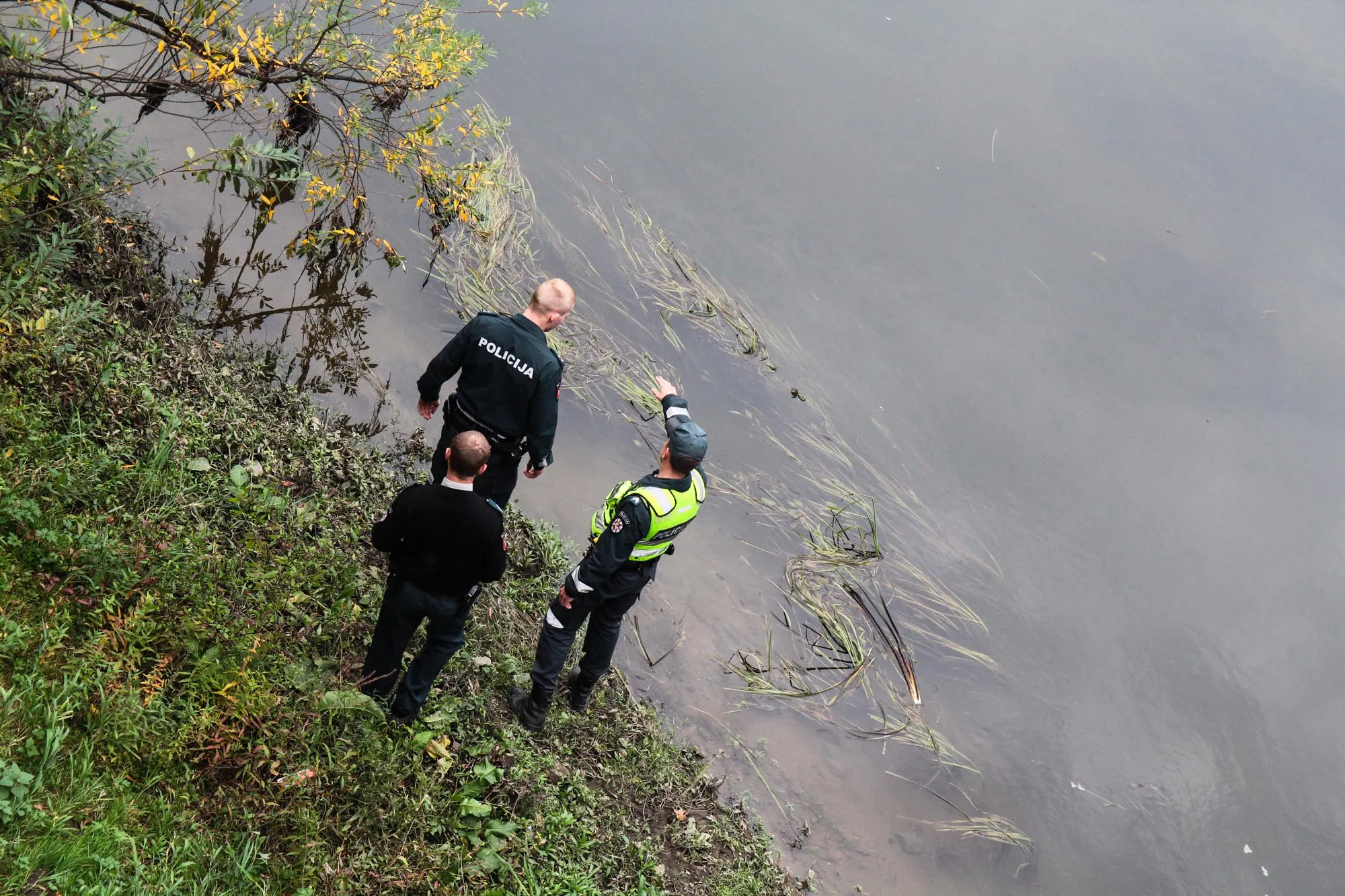 Skenduolio paieškos