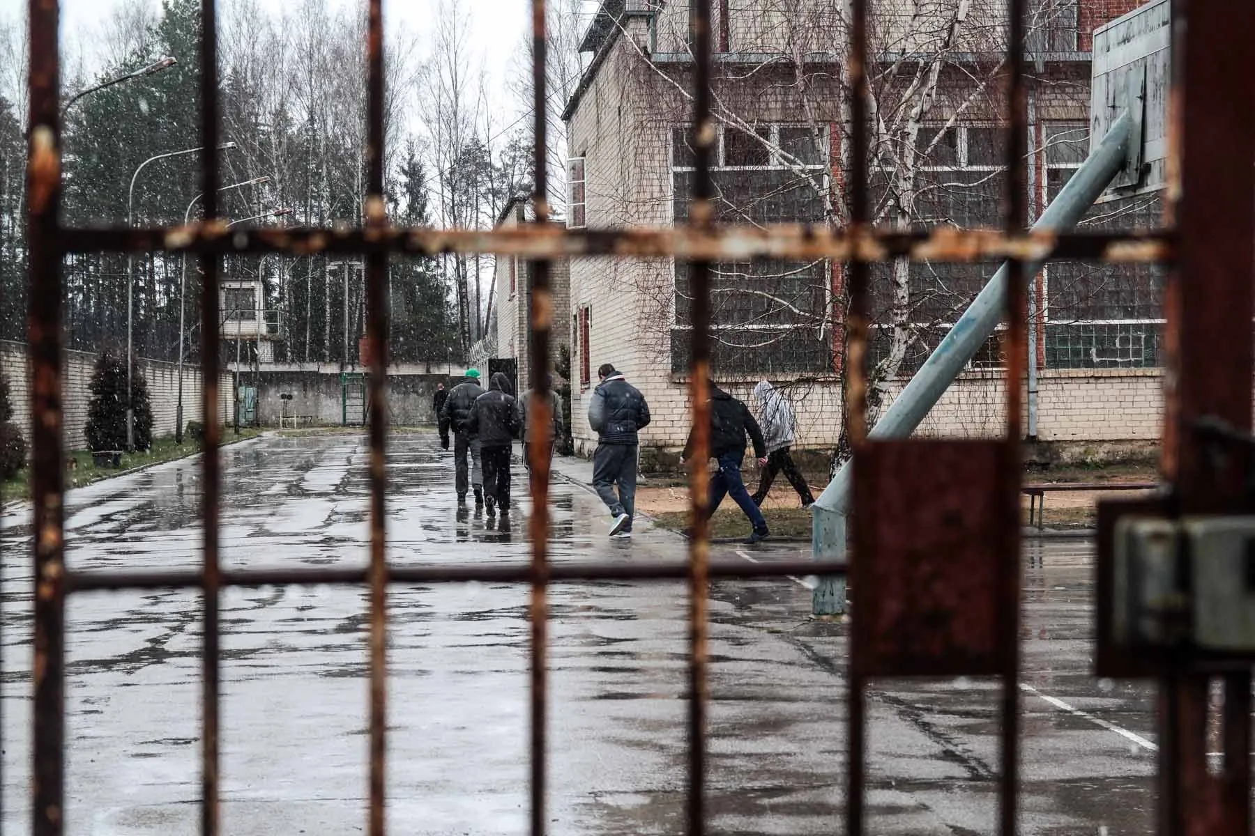 Pravieniškių kolonija