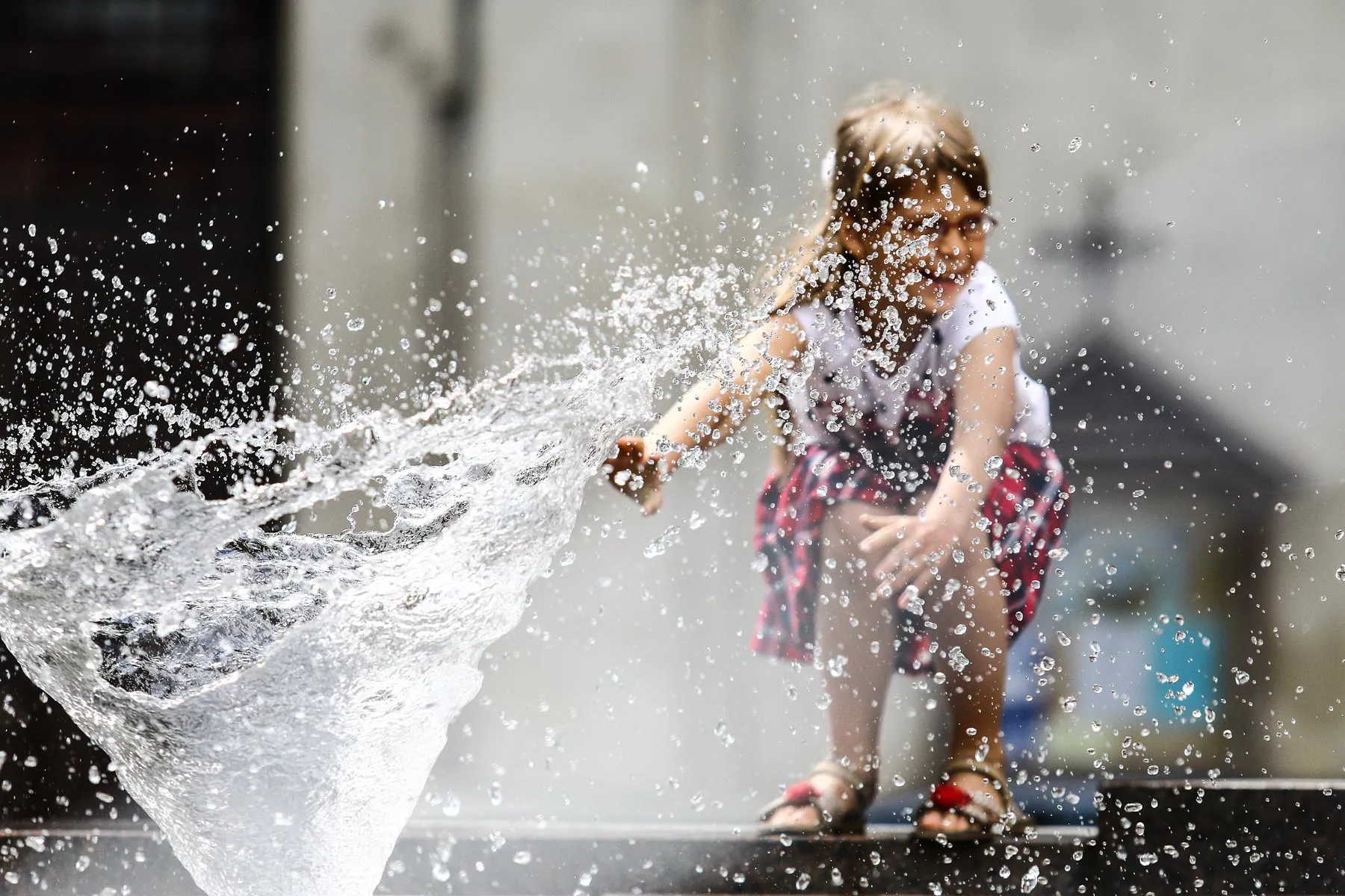 Maisto kultūros festivalio antroji diena