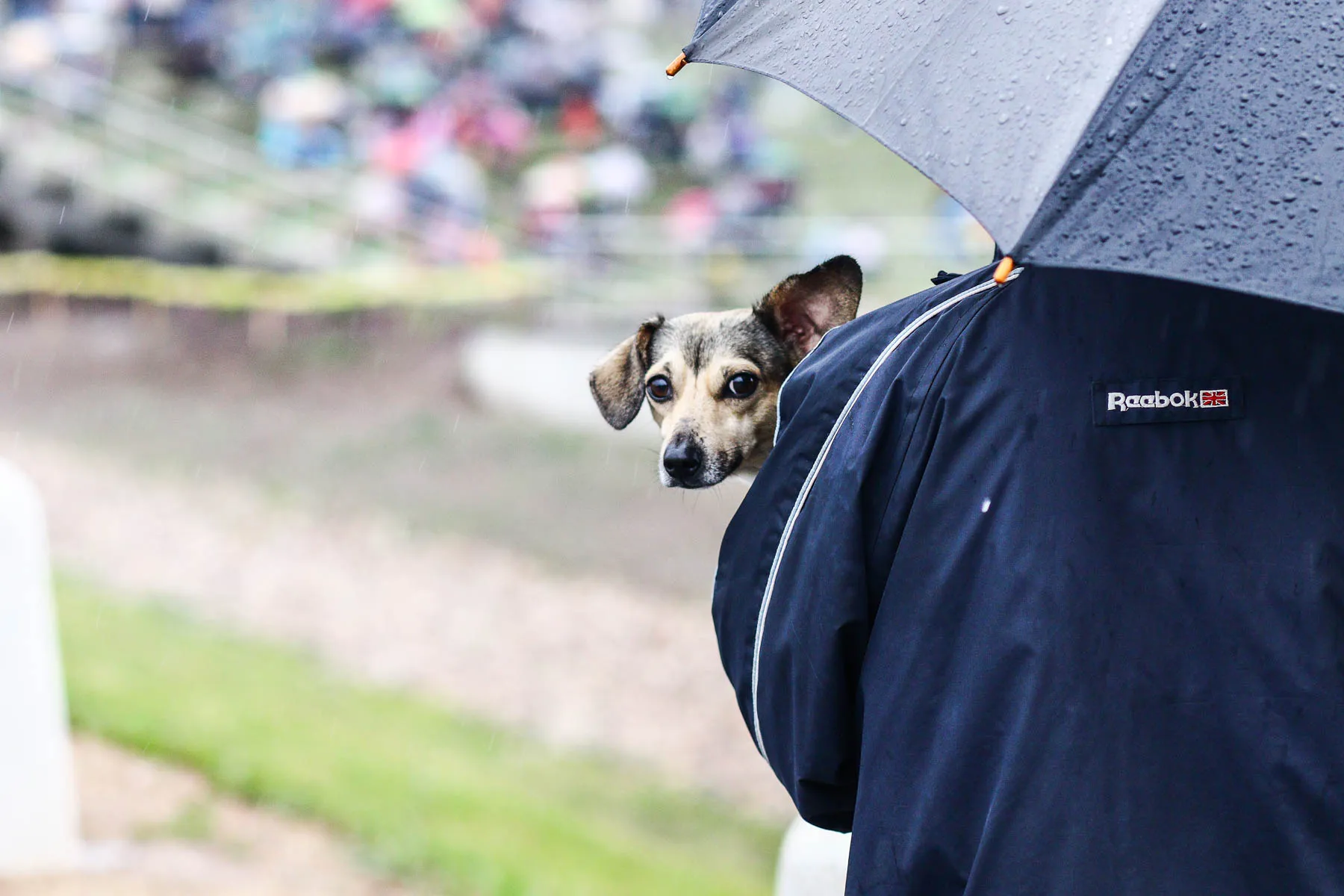 skėtis, lietus Joninės Jonavoje