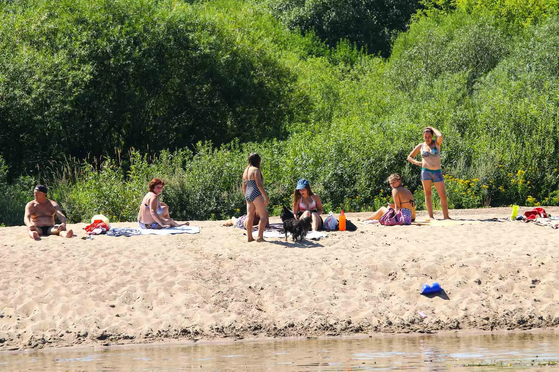 Kauniečiai nugulė Nemuno ir Neries pakrantes