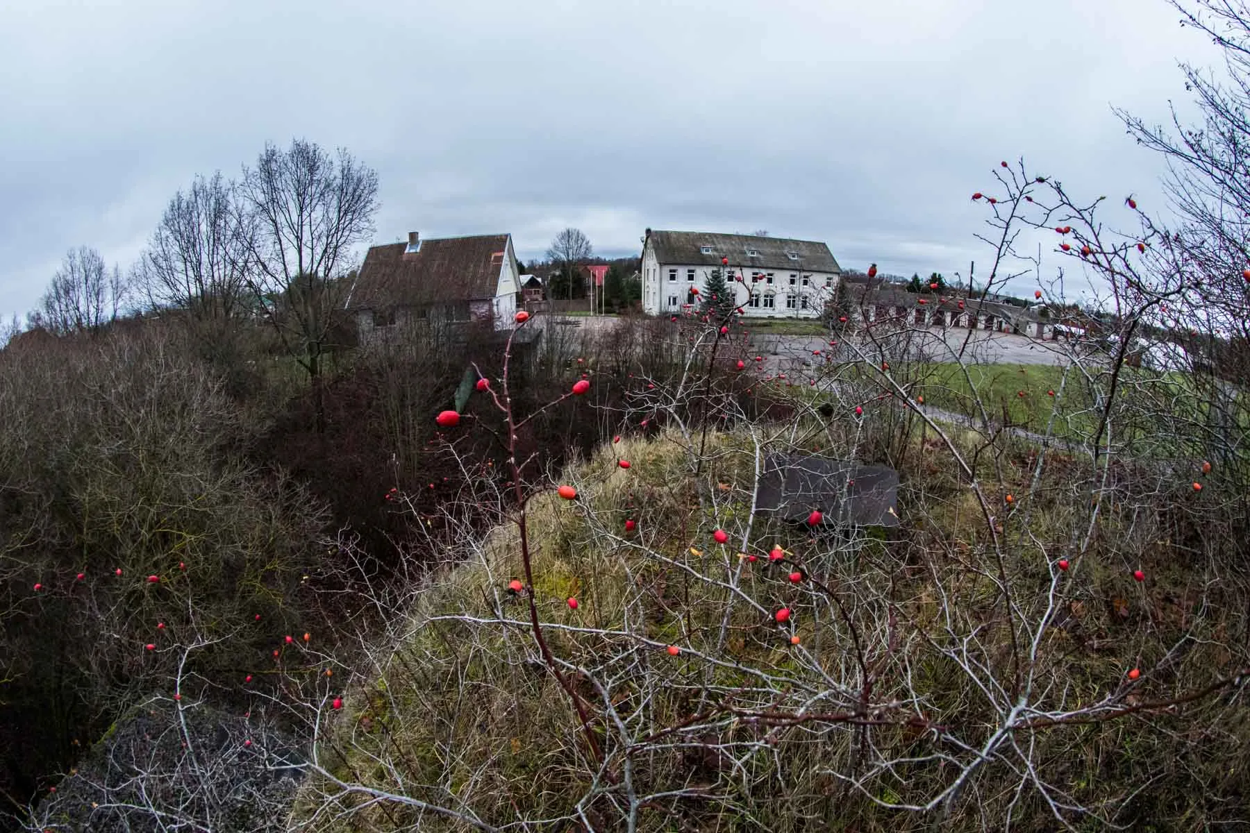 III-asis Kauno fortas