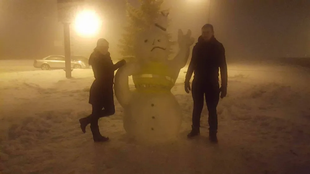 Besmegenis S. Dariaus ir S. Girėno aerodrome