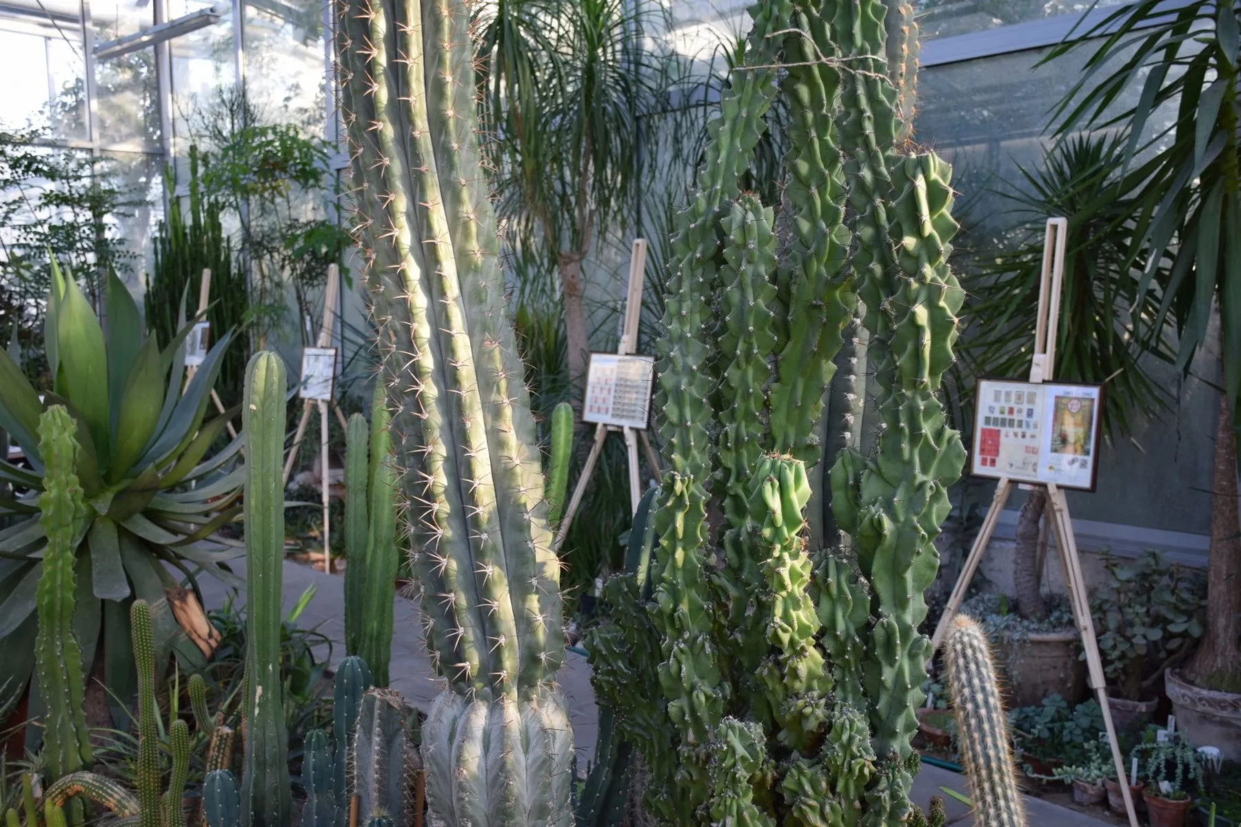 VDU Botanikos sode atidaryta išskirtinė paroda