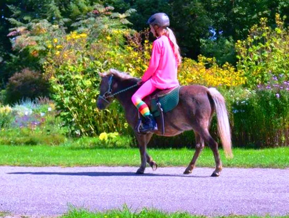 Paroda - mugė „Pakalnutės žiedas“