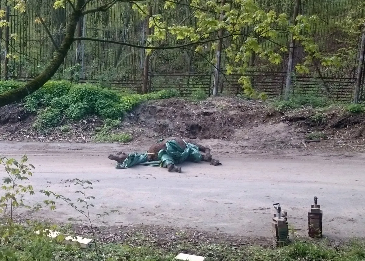 Kupranugario iškamša