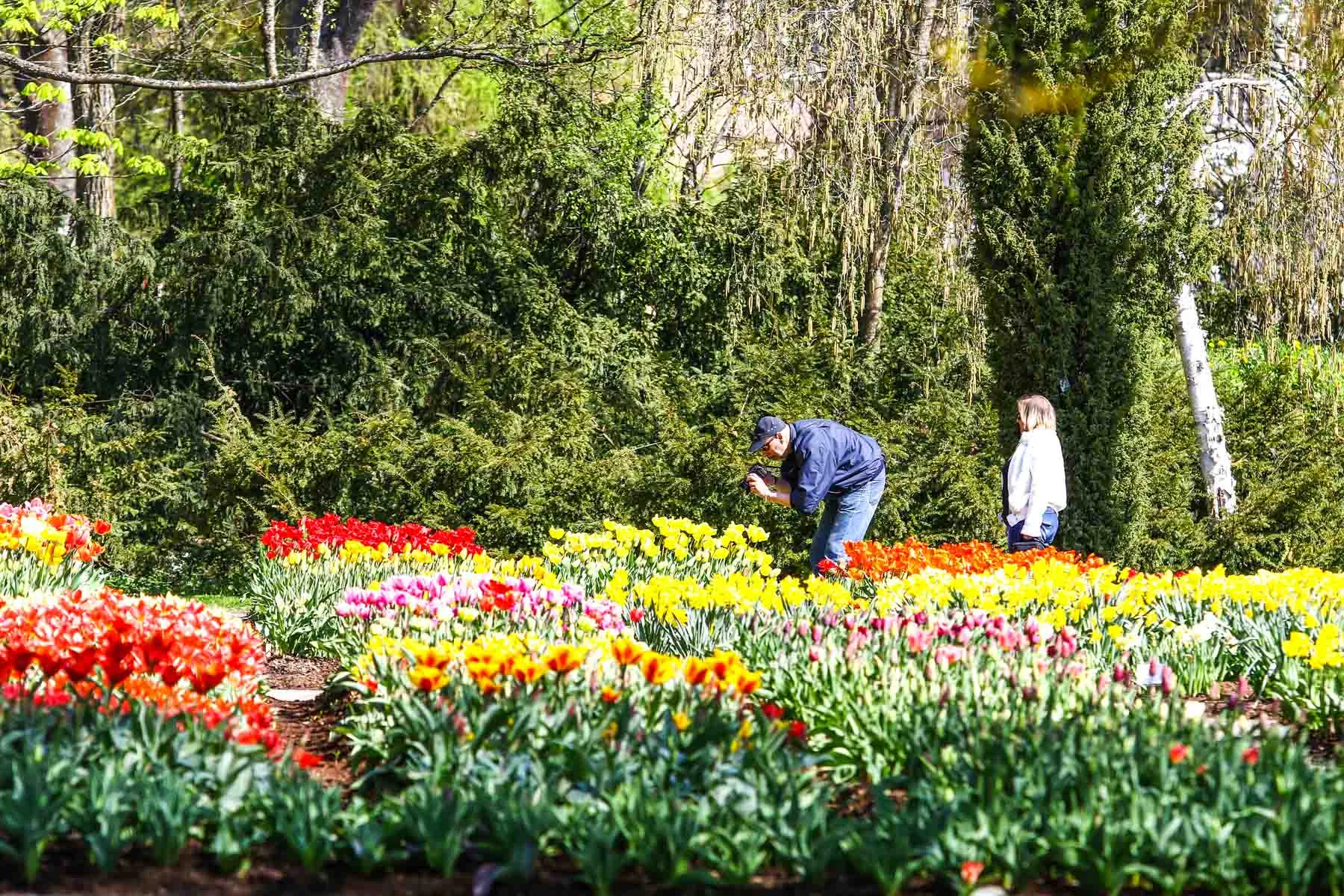 Gėlių žydėjimas botanikos sode