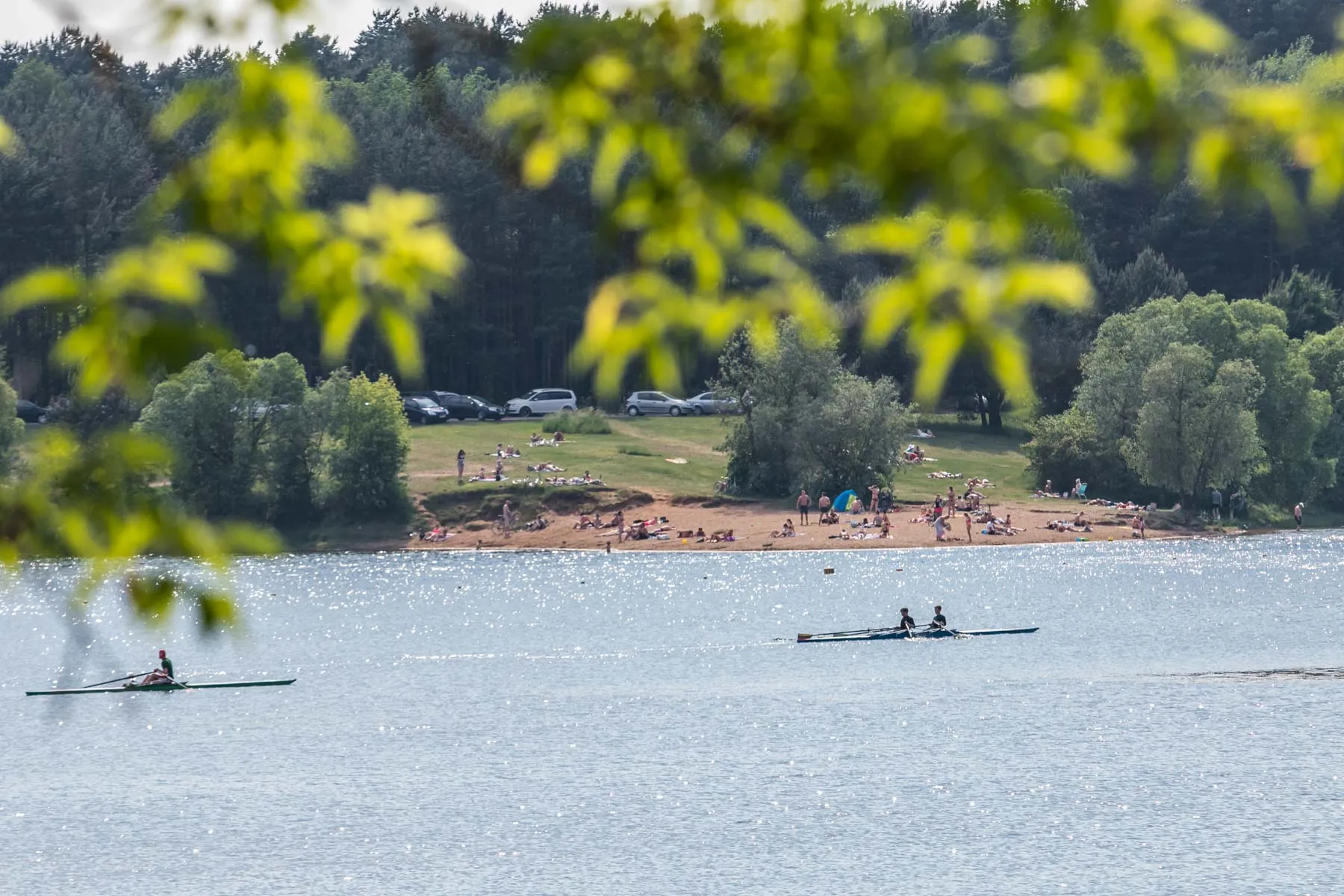Asociatyvi / Kas vyksta Kaune nuotr.