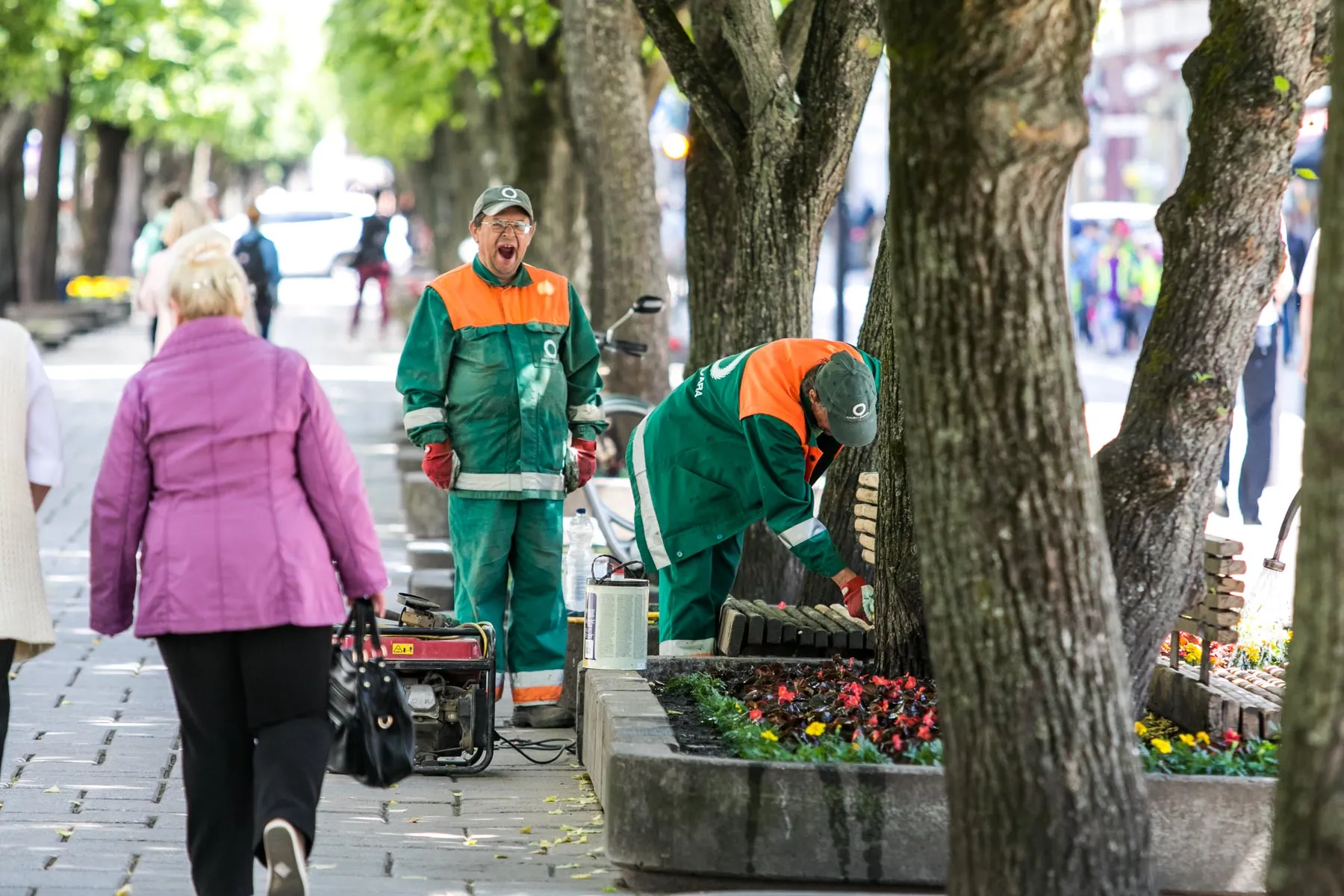Laisvės al. esančių suoliukų atnaujinimas