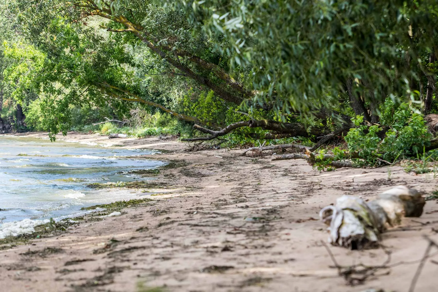 Meilės įlanka Kauno mariose