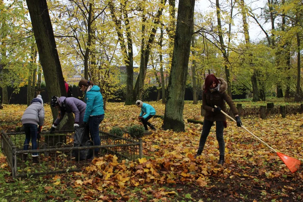 Kapinių tvarkymo akcija