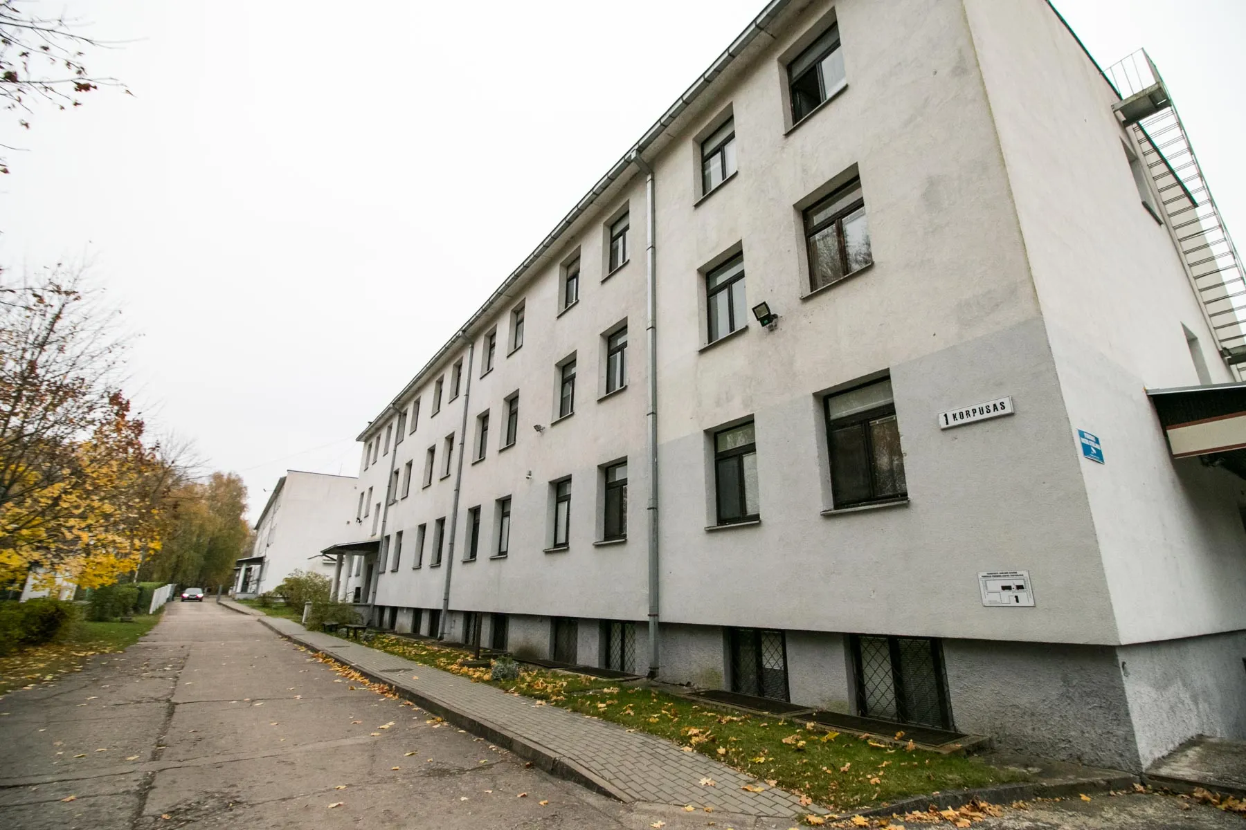 Pabėgėliai Rukloje