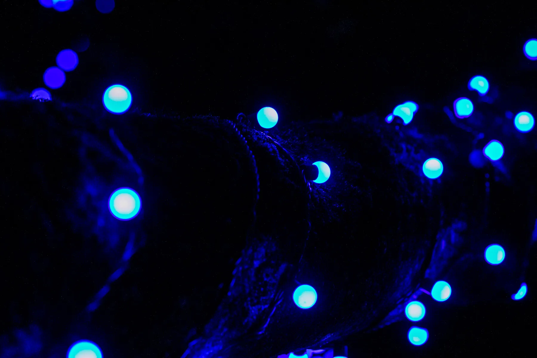 Prezidentūros kiemelis nušvito mėlynai