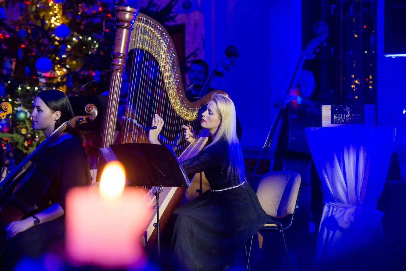 Kaledinis labdaros vakaras 005