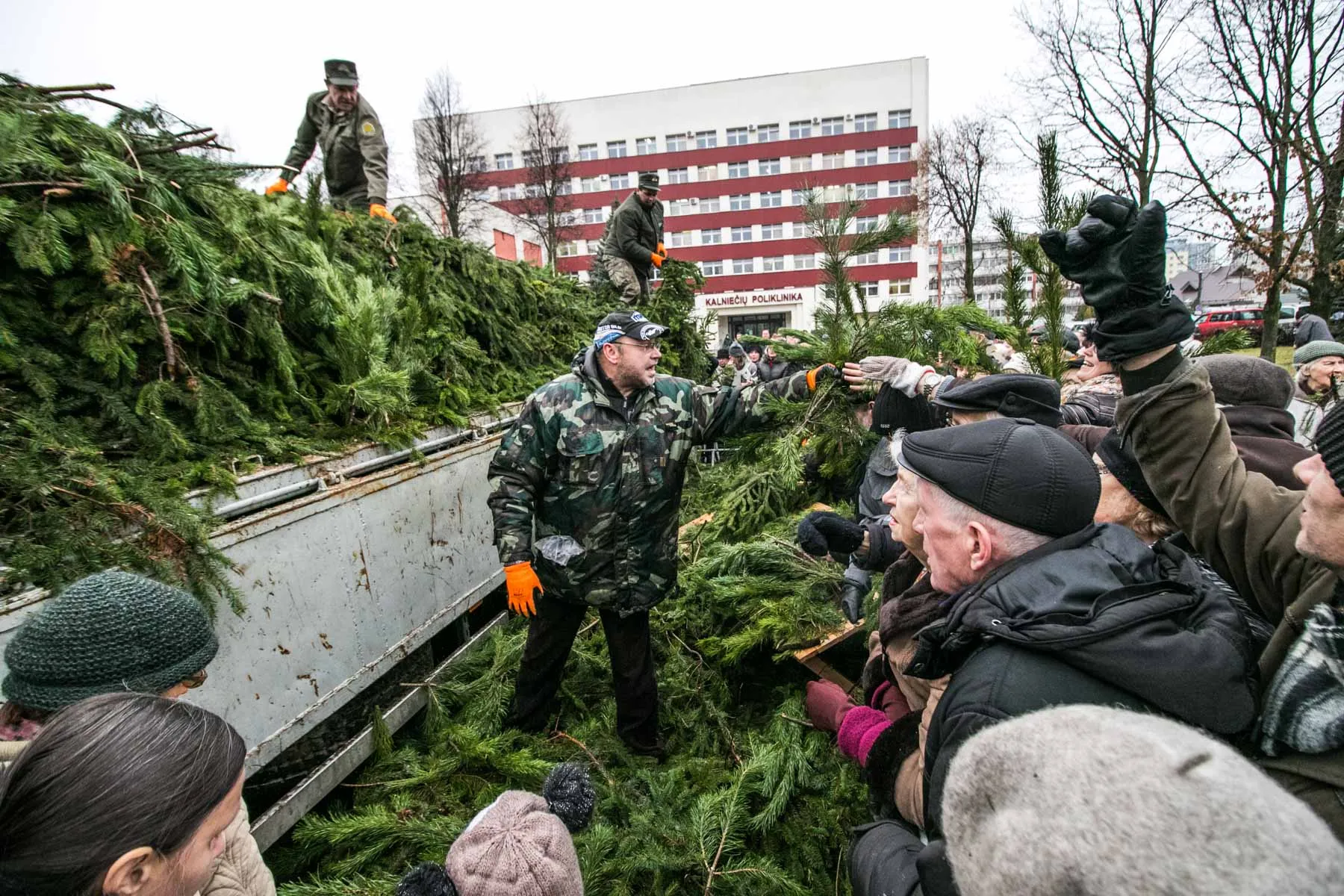 Kauniečiams išdalintos eglių šakos