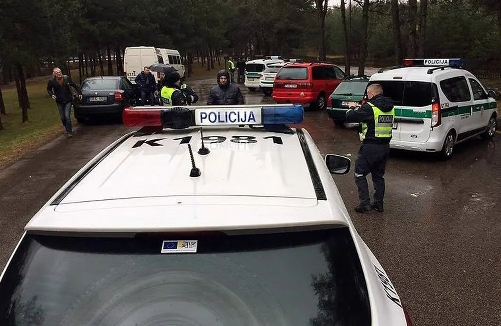 I. Strazdauskaitės paieška