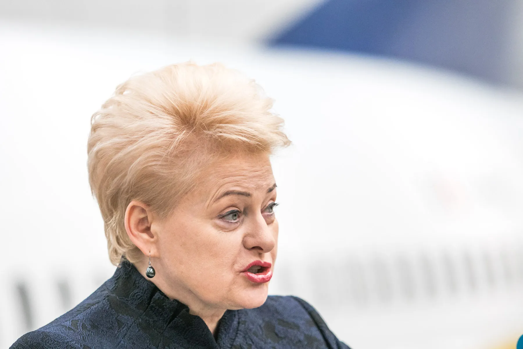 Prezidentė D. Grybauskaitė