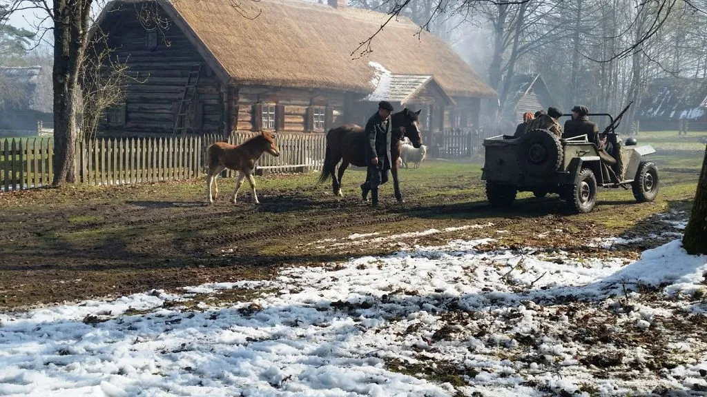 „Pelėdų kalnas“