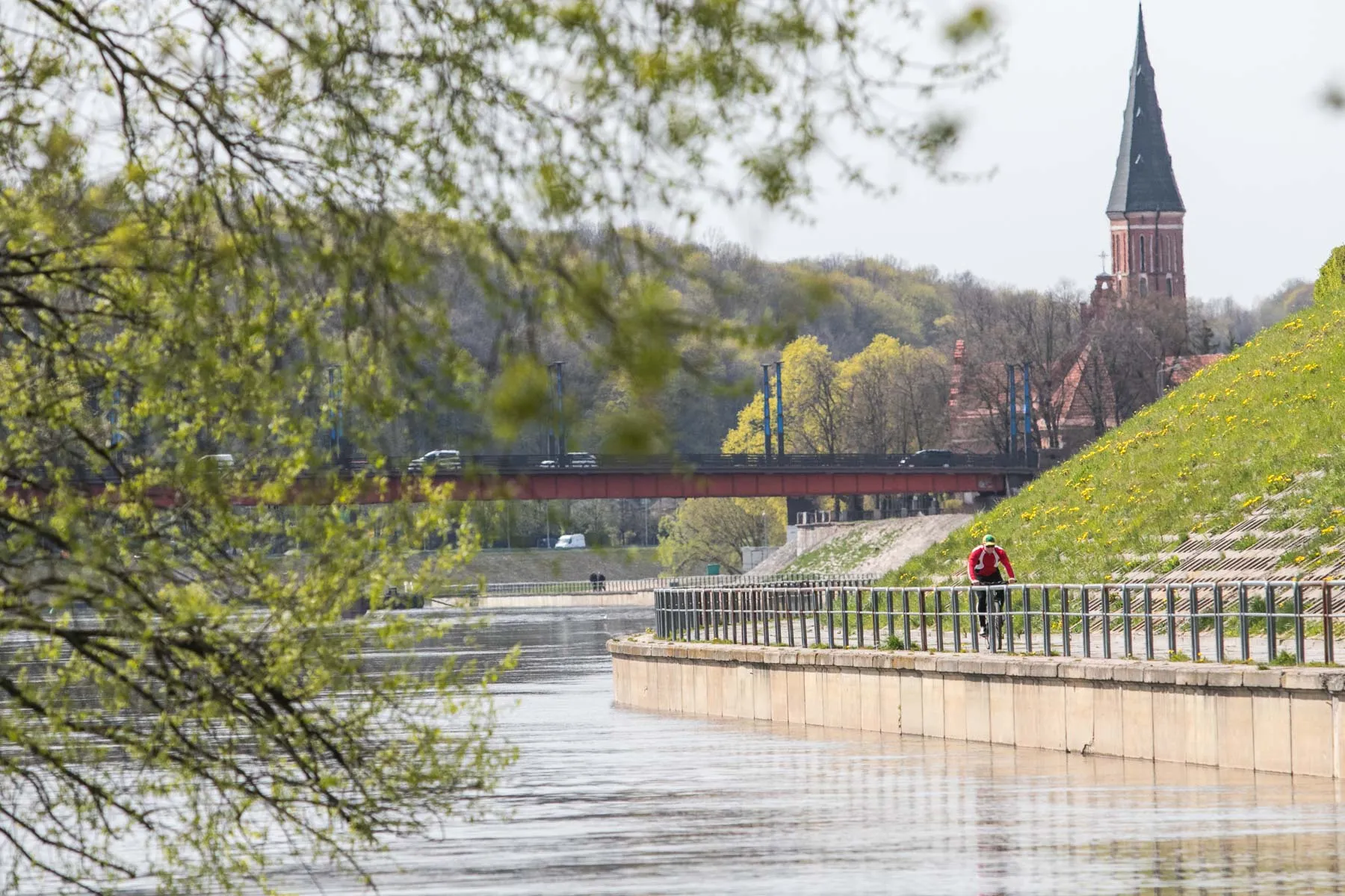 Kauniečiai mėgaujasi pavasariška šiluma