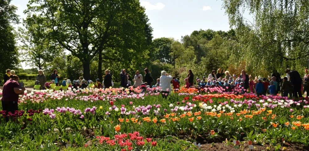 VDU Botanikos sodo „Augalų žavadienis“ 04