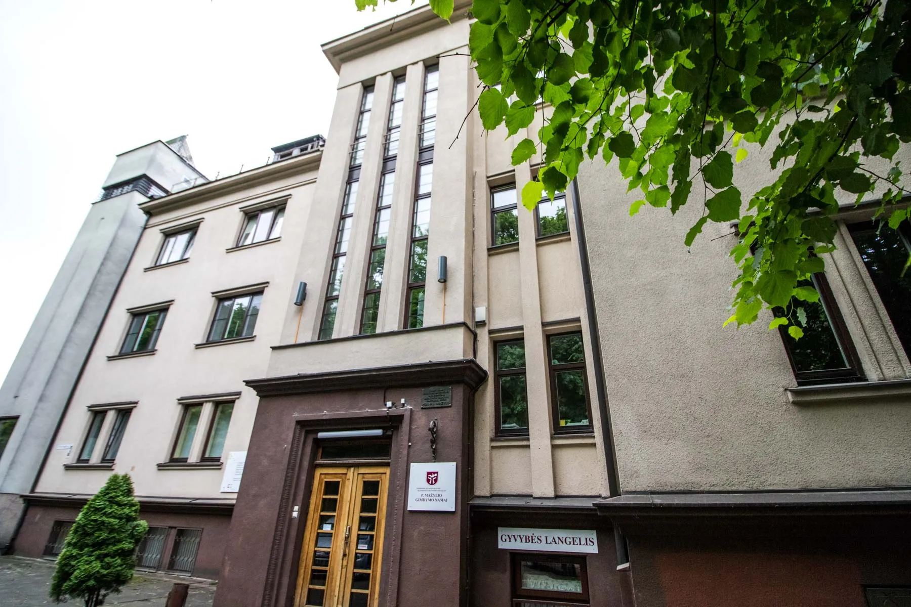 P. Mažylio gimdymo namai