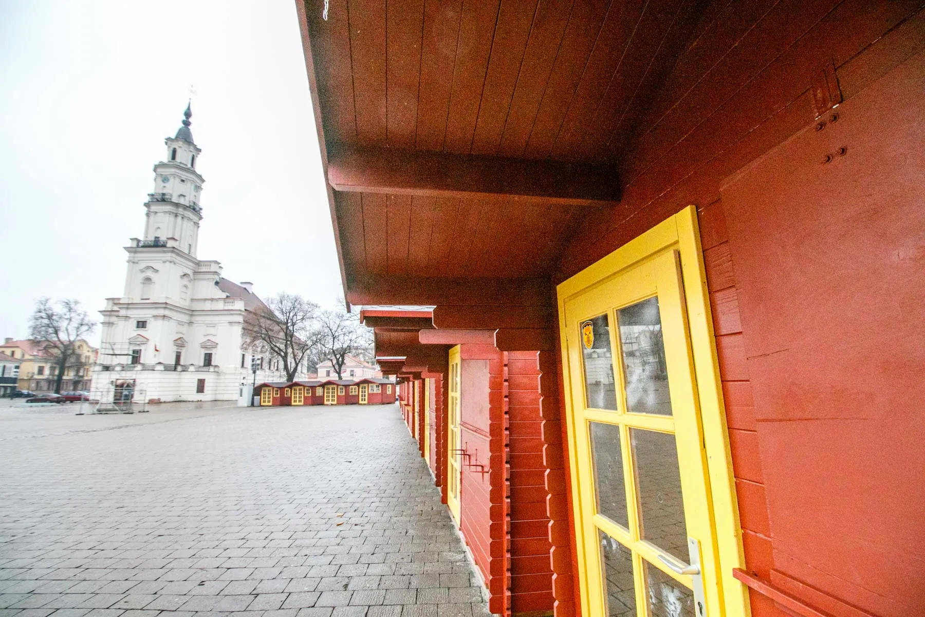 Statoma Kalėdinė eglutė Rotušėje